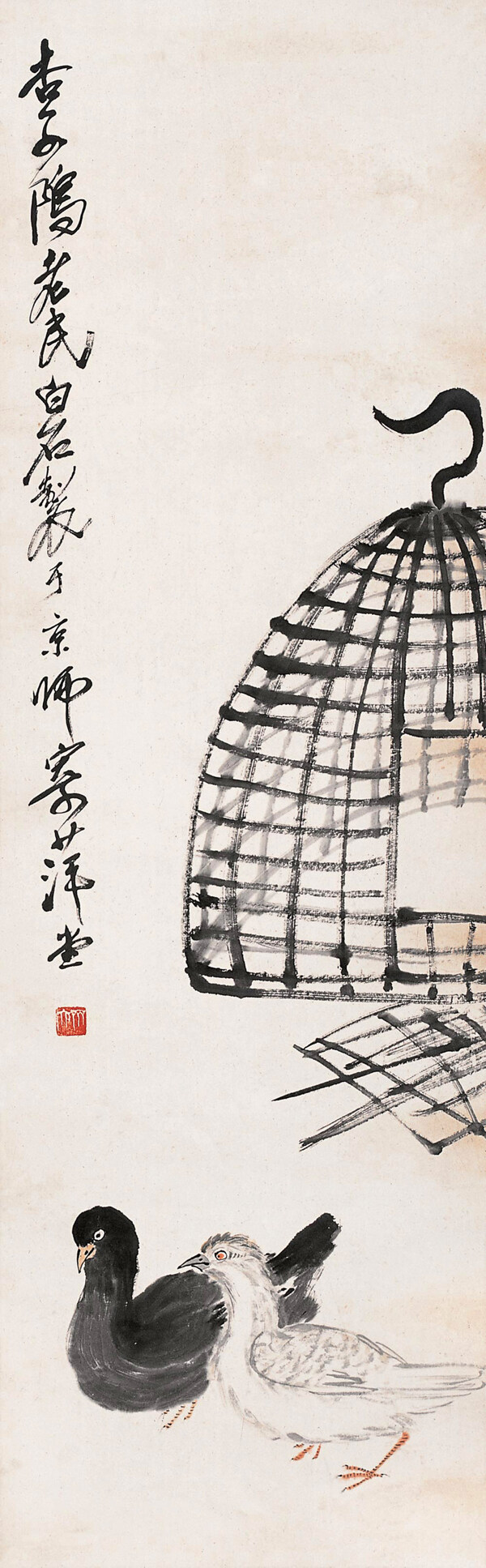 鴿子圖片