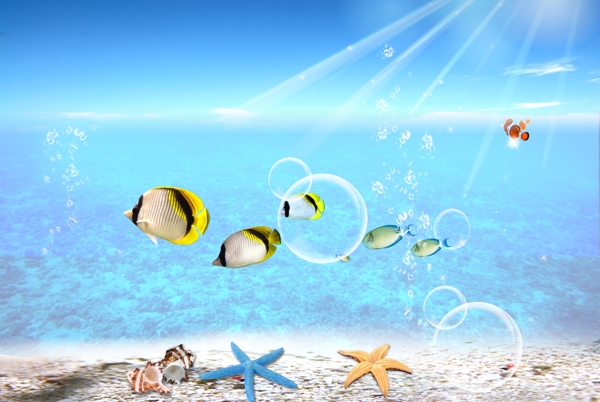 海底世界圖片
