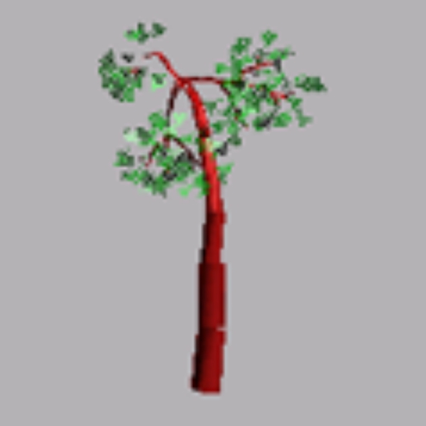 3D模型植物
