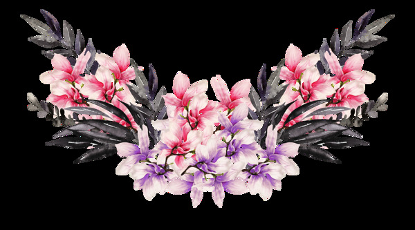手绘两种颜色的木兰花PNG透明素材