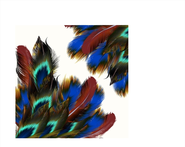 矢量羽毛
