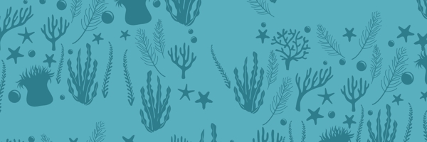 海底