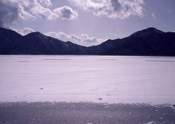 冬季樹木河流風(fēng)景