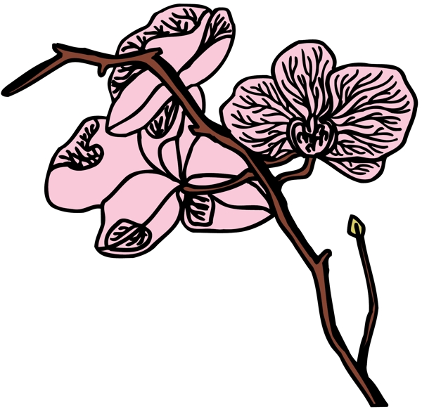 花朵花草鮮花矢量EPS格式1005