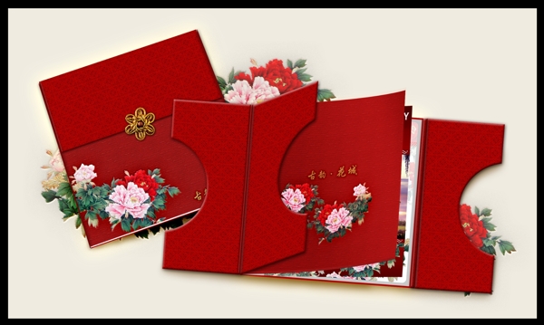 房地產(chǎn)畫冊封套效果圖圖片