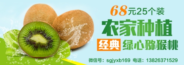 綠心奇異果廣告