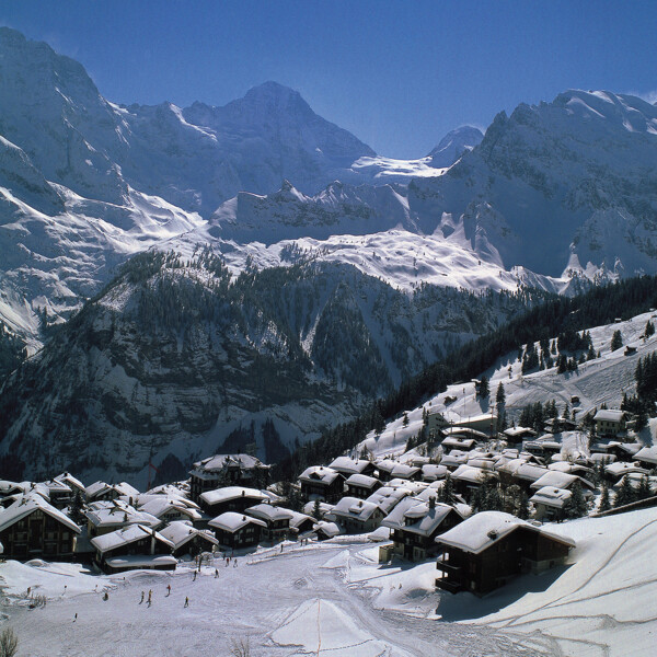 瑞士阿尔俾斯山冬景图片