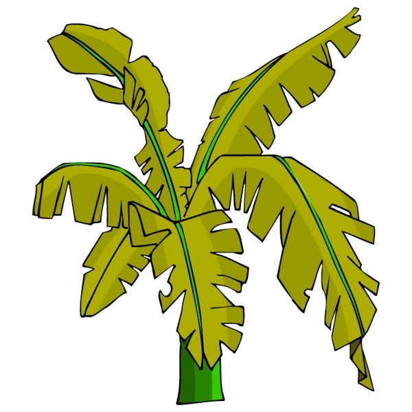樹木古典插畫