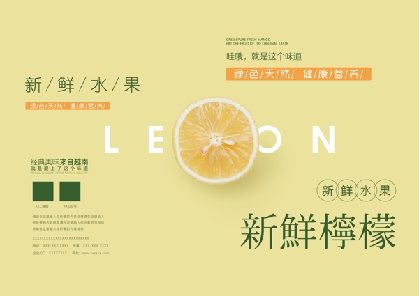 时尚新鲜柠檬水果画册封面