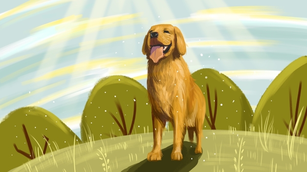 萌宠系列在阳光下的宠物狗插画海报配图