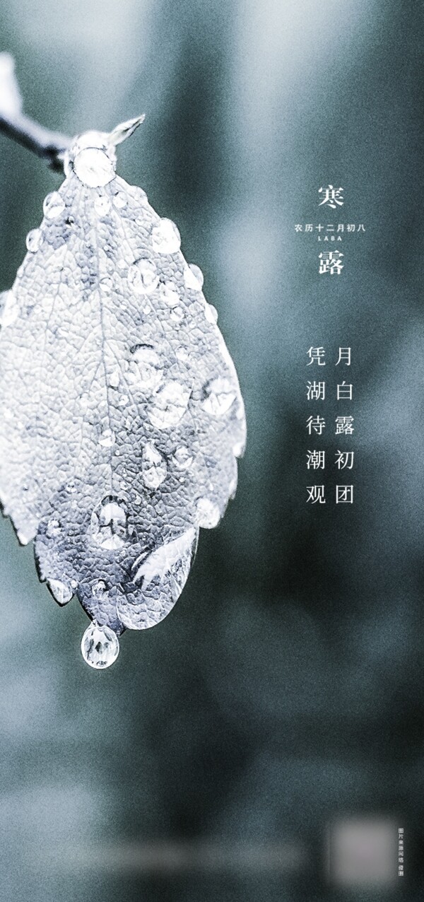 寒露圖片