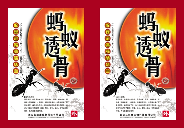 螞蟻透骨圖片