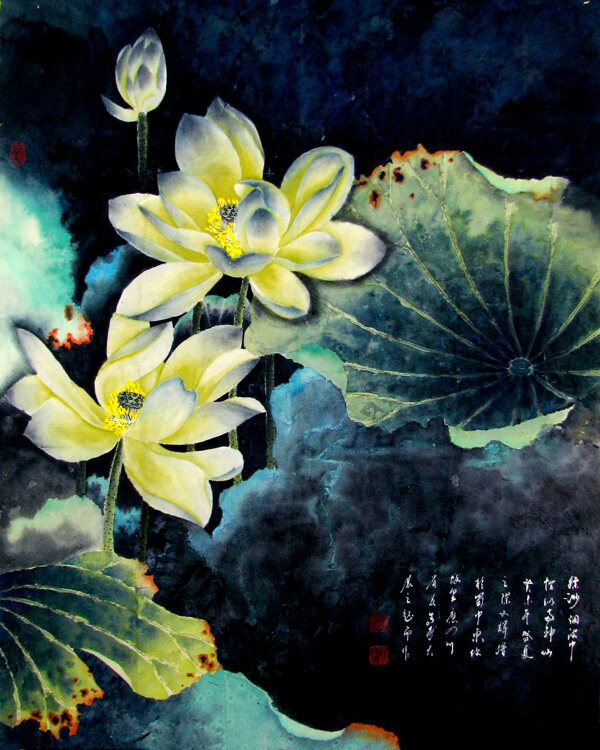 荷花曲圖片