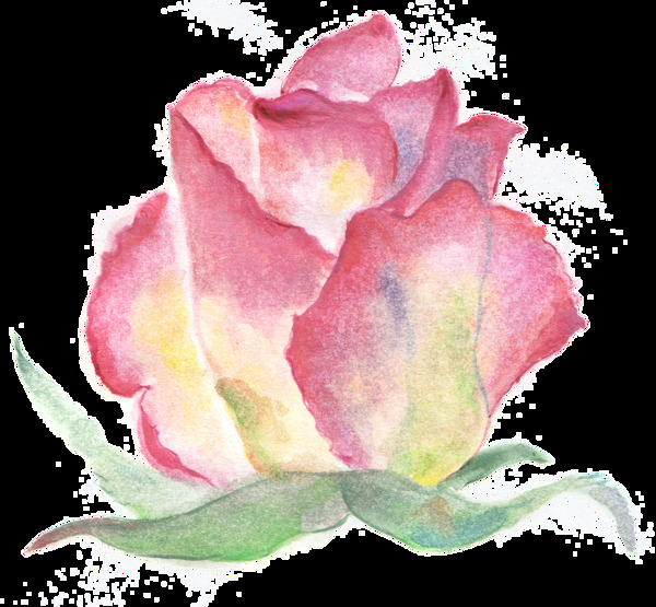 圈粉花束透明裝飾素材