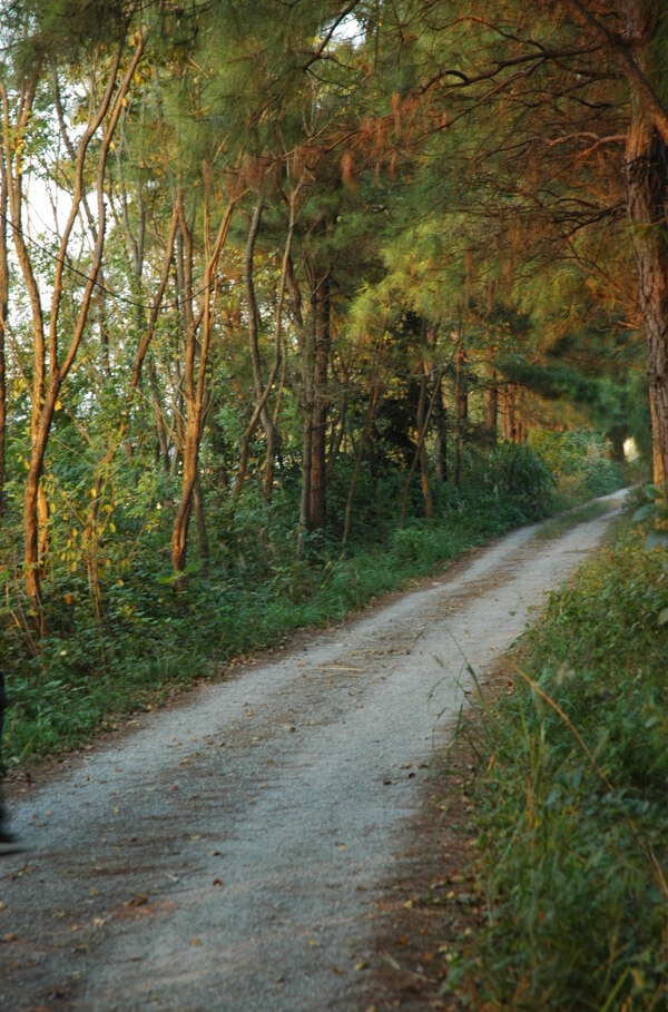 小路夕照