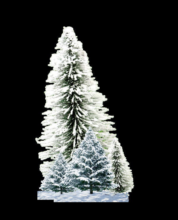 简约雪枝圣诞树透明元素