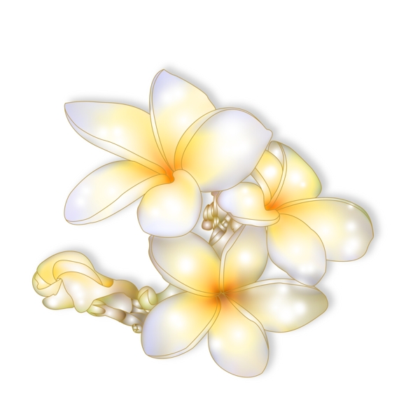 一丛黄白色的花朵