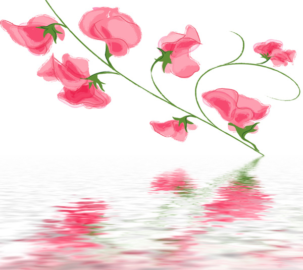 水中紅色花枝倒影