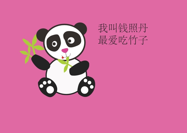 小熊貓