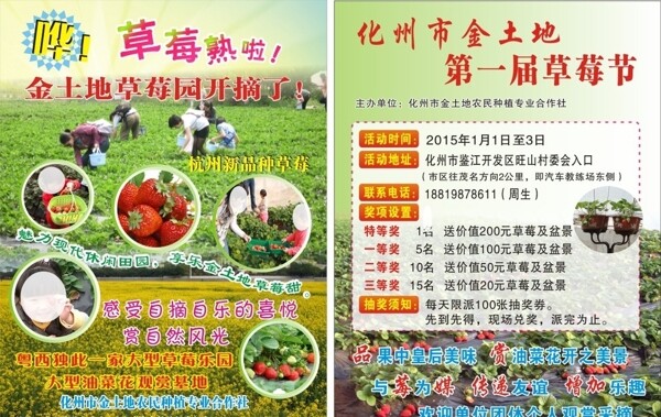 草莓宣傳單圖片