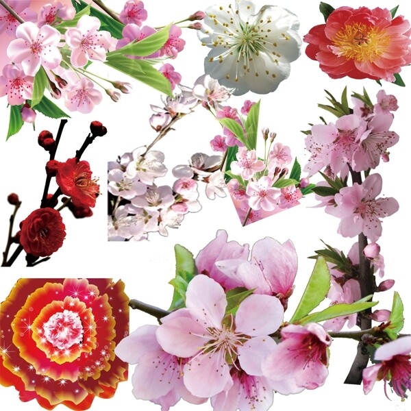 花