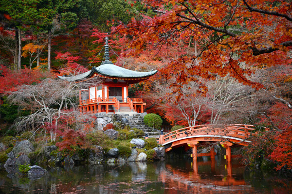 日本京都市庭园池塘秋季小雁塔桥