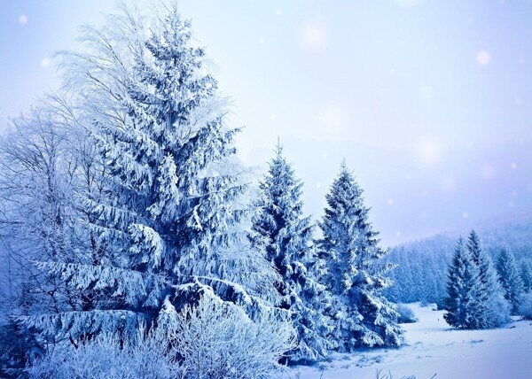 雪景圖片