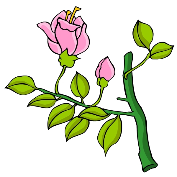 花卉古典插畫