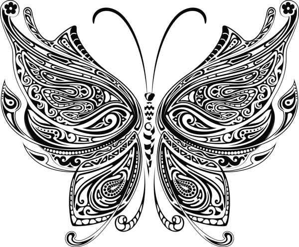 素描画的蝴蝶