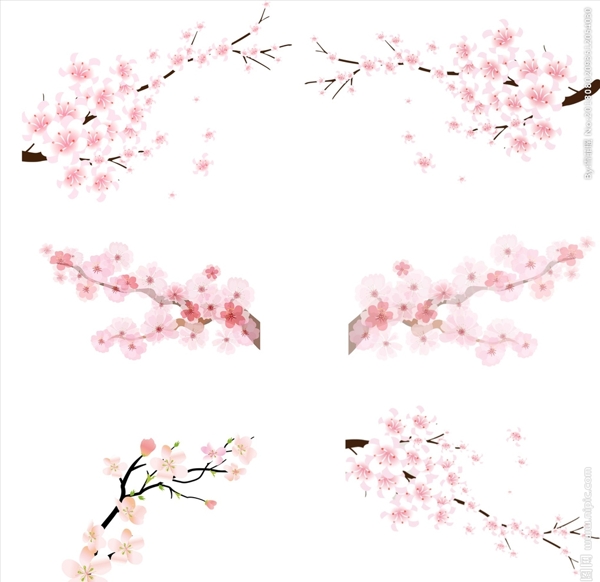 桃花枝