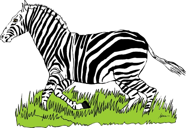 野生動物14