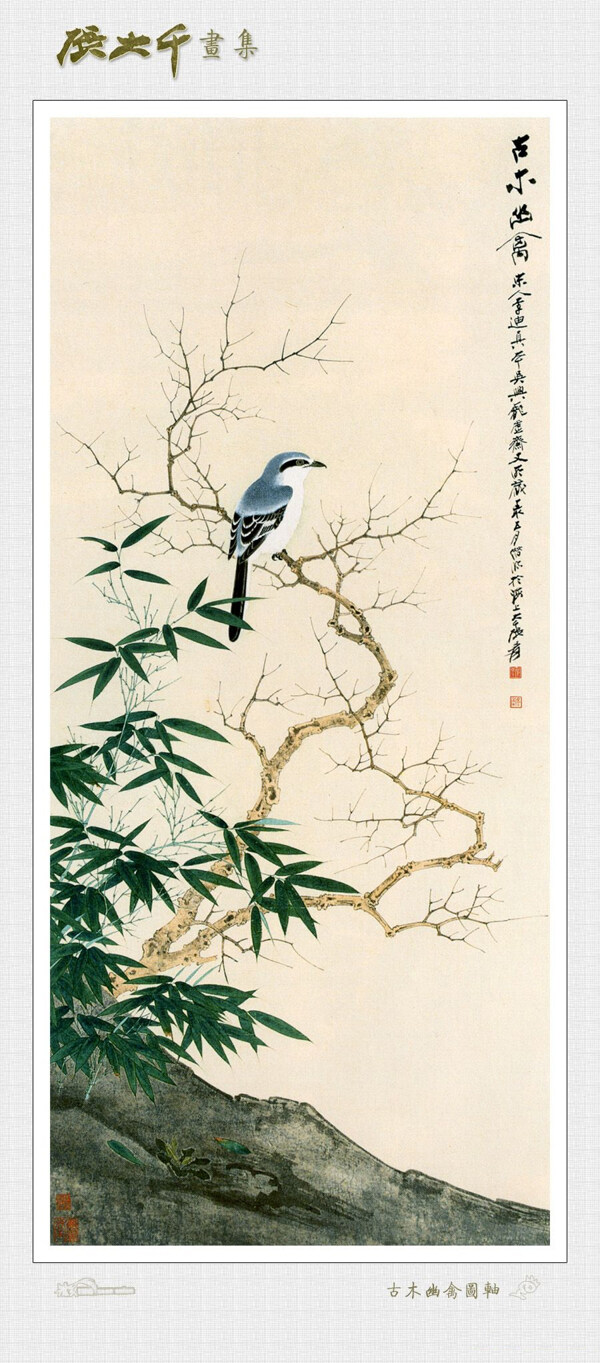 古木圖片