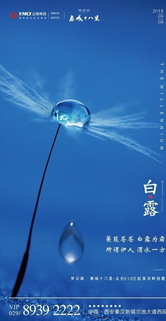 24節(jié)氣白露