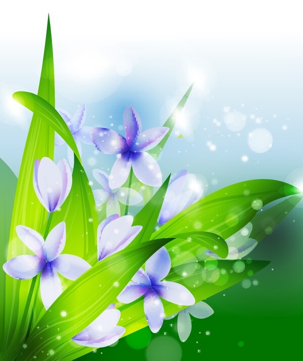 迎春花矢量素材圖片