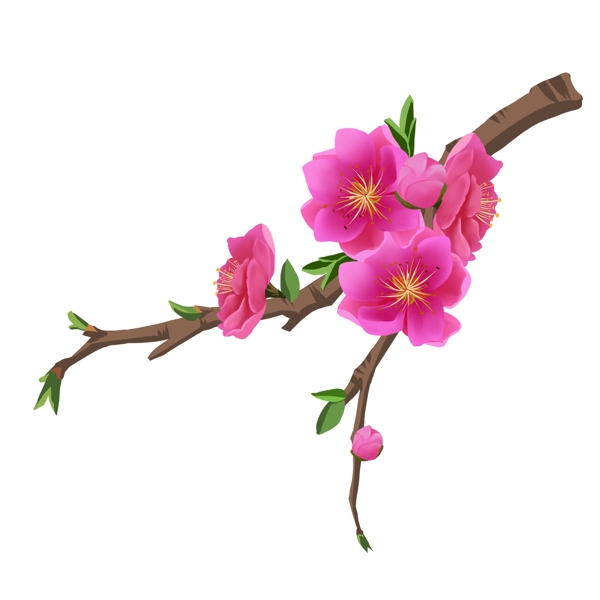 粉色桃花花朵花枝花卉手绘春季装饰简约风