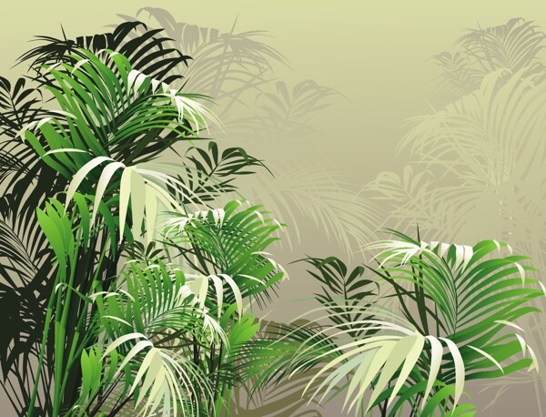 热带丛林植物插图矢量