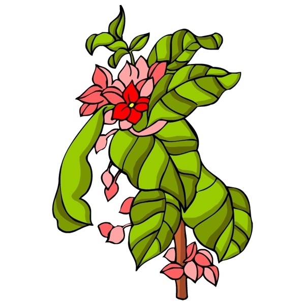 花卉古典插畫