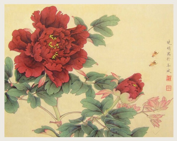 工筆花卉圖片