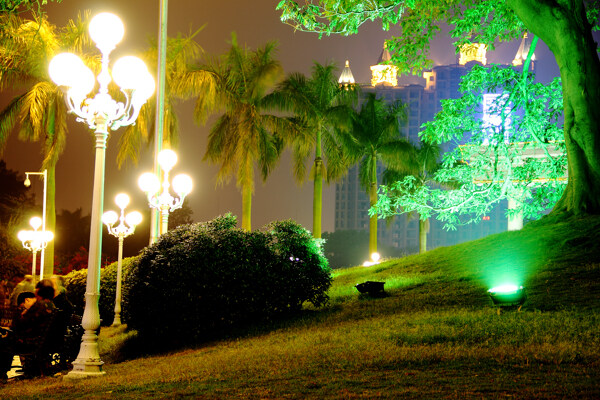 公園夜景圖片