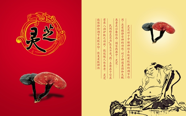 產品畫冊封面