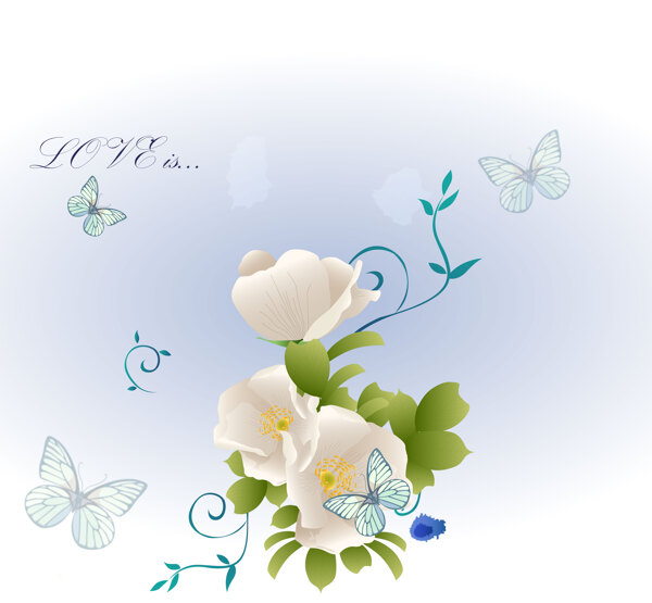 移門圖片素材白色花朵和蝴蝶