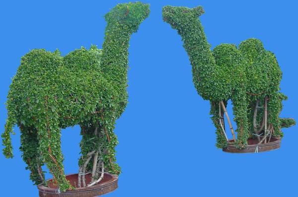 奇型造型061植物素材