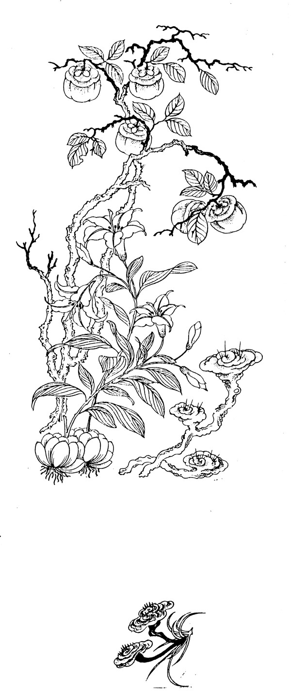 樹苗圖案
