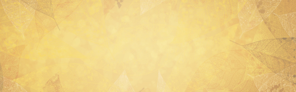 秋季秋裝金色背景banner