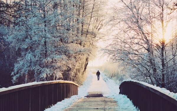 桥边踏雪风景图图片