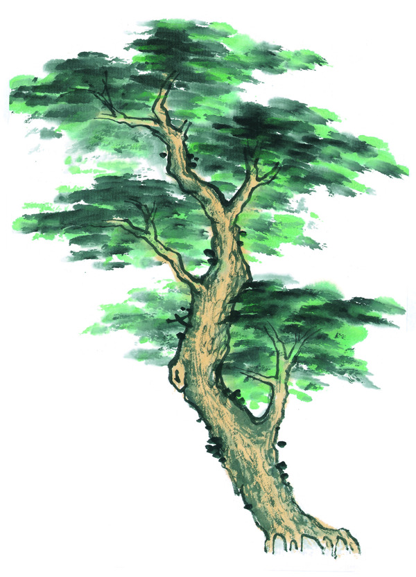 绘画松树