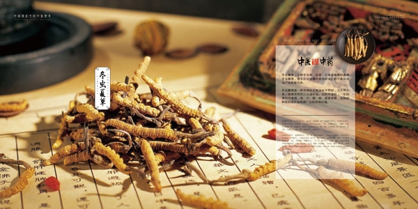 中國風(fēng)中式中醫(yī)醫(yī)藥傳統(tǒng)文化畫冊