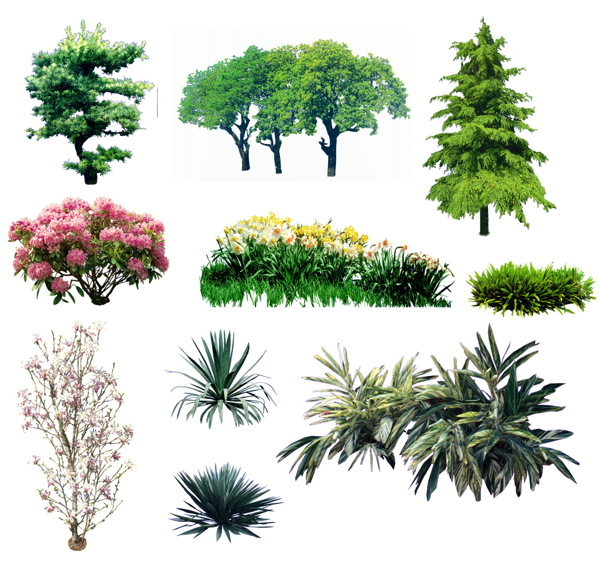 植物貼圖素材建筑裝飾JPG0224
