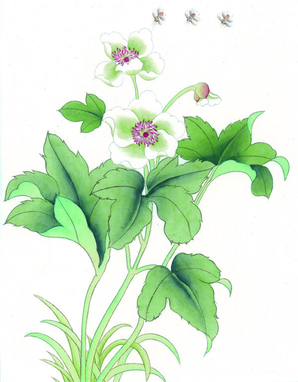 中國風(fēng)花小鳥喜鵲牡丹桃花芍藥中華藝術(shù)繪畫