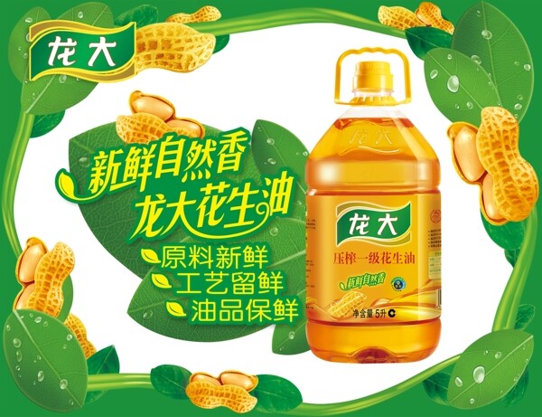 龍大圖片